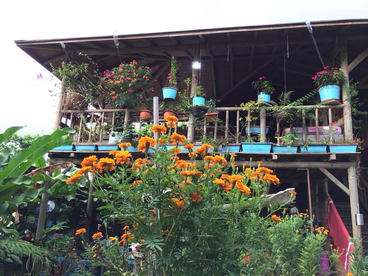 Wood House Hostel La Fortuna Eksteriør bilde